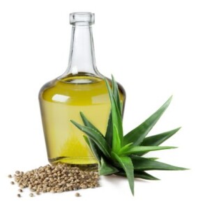 Aloe Vera in Hemp Seed Oil