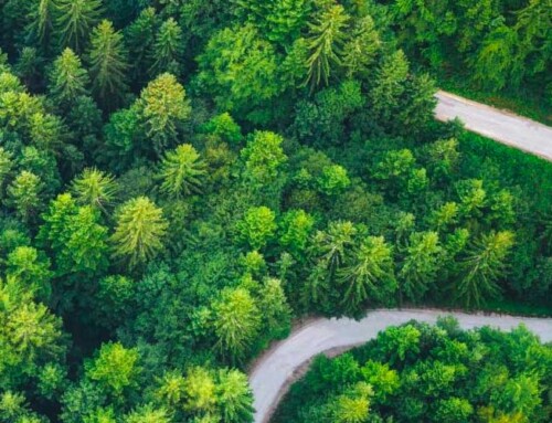 The Price of Beauty Doesn’t Have to Cost the Environment